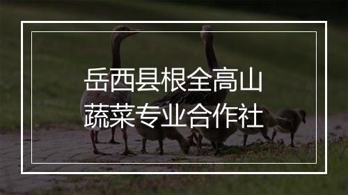 岳西县根全高山蔬菜专业合作社