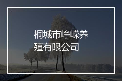 桐城市峥嵘养殖有限公司