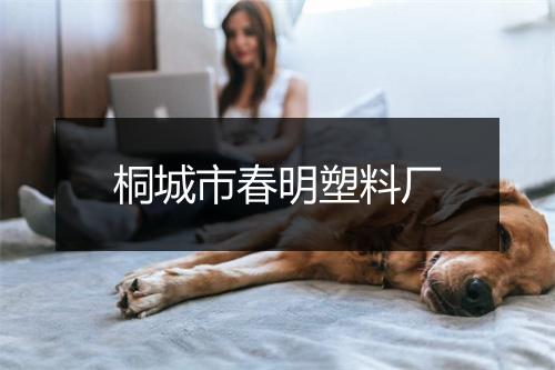 桐城市春明塑料厂