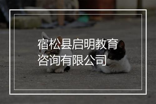 宿松县启明教育咨询有限公司