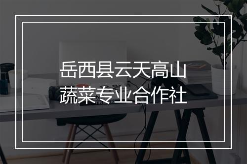 岳西县云天高山蔬菜专业合作社
