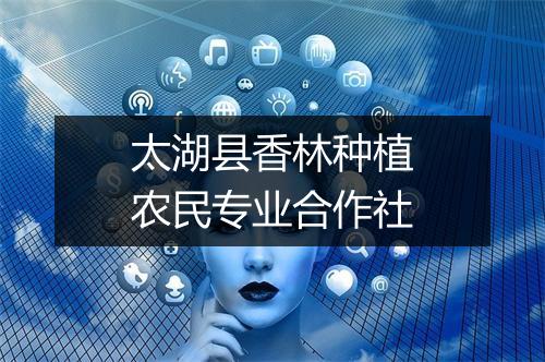 太湖县香林种植农民专业合作社