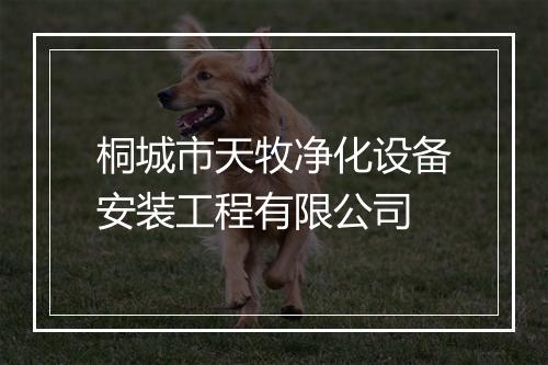 桐城市天牧净化设备安装工程有限公司