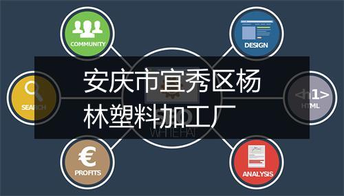 安庆市宜秀区杨林塑料加工厂