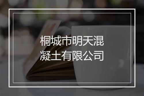 桐城市明天混凝土有限公司