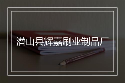 潜山县辉嘉刷业制品厂