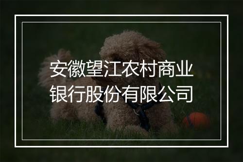 安徽望江农村商业银行股份有限公司