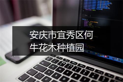 安庆市宜秀区何牛花木种植园