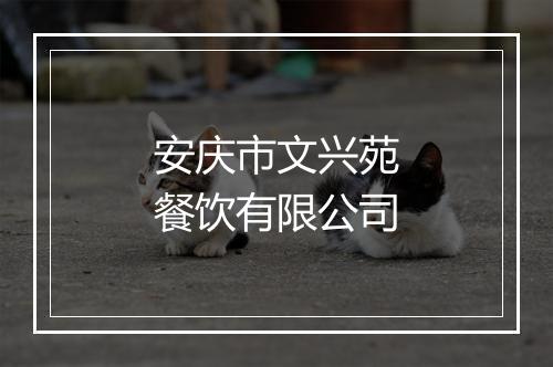 安庆市文兴苑餐饮有限公司
