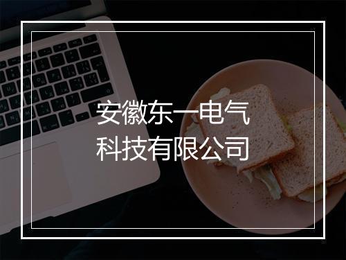 安徽东一电气科技有限公司