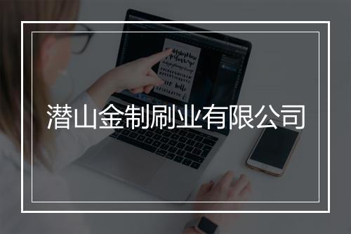 潜山金制刷业有限公司
