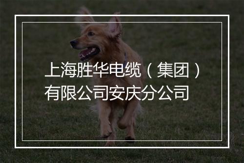 上海胜华电缆（集团）有限公司安庆分公司