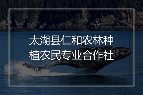 太湖县仁和农林种植农民专业合作社