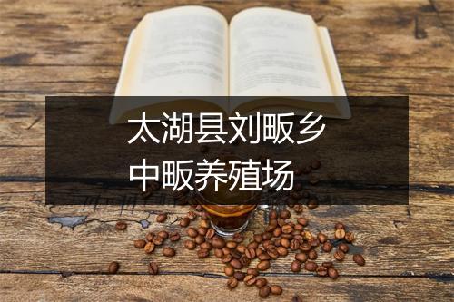 太湖县刘畈乡中畈养殖场