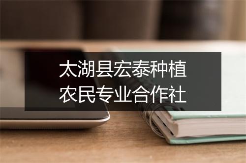 太湖县宏泰种植农民专业合作社