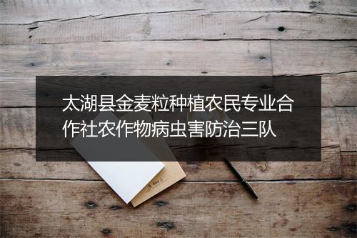 太湖县金麦粒种植农民专业合作社农作物病虫害防治三队