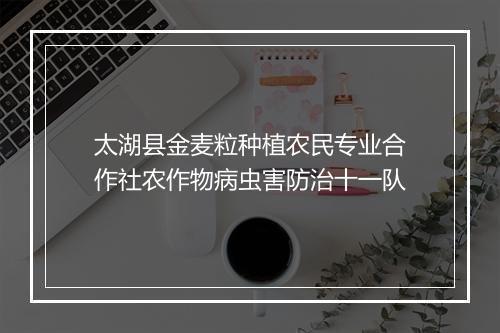 太湖县金麦粒种植农民专业合作社农作物病虫害防治十一队