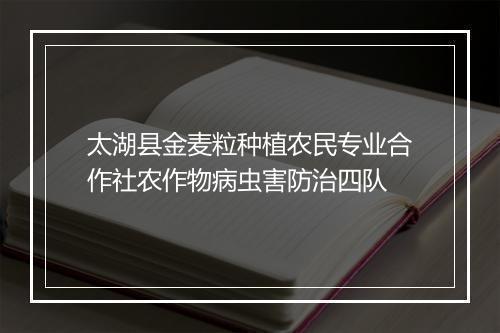 太湖县金麦粒种植农民专业合作社农作物病虫害防治四队