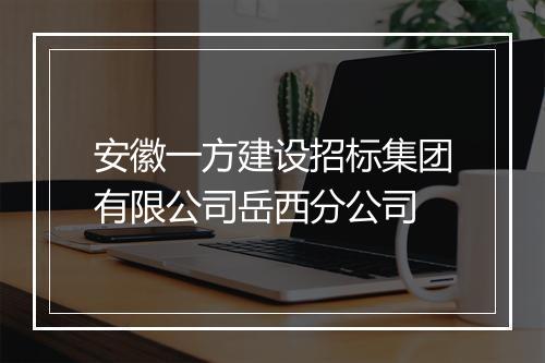 安徽一方建设招标集团有限公司岳西分公司