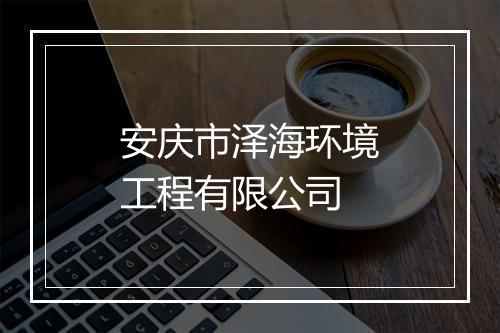 安庆市泽海环境工程有限公司
