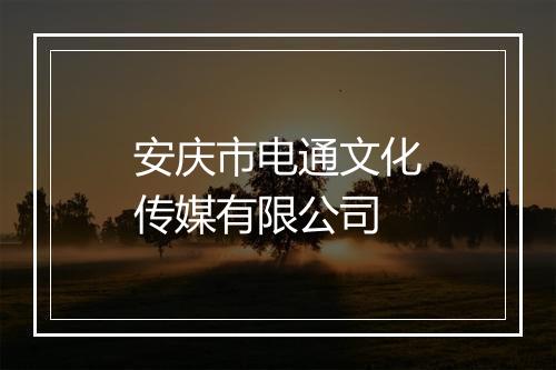 安庆市电通文化传媒有限公司