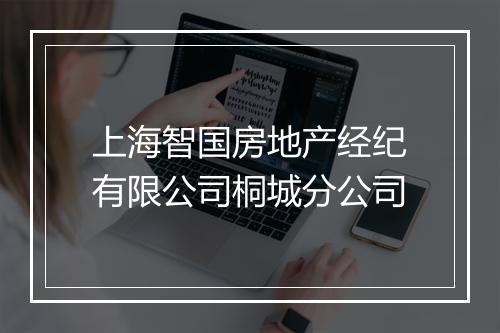 上海智国房地产经纪有限公司桐城分公司
