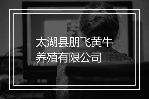 太湖县朋飞黄牛养殖有限公司