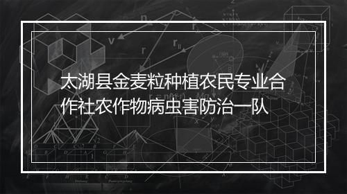 太湖县金麦粒种植农民专业合作社农作物病虫害防治一队