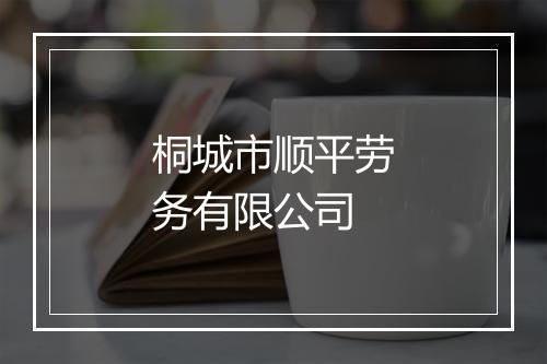桐城市顺平劳务有限公司
