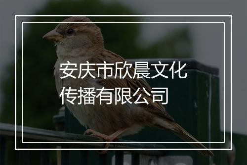 安庆市欣晨文化传播有限公司