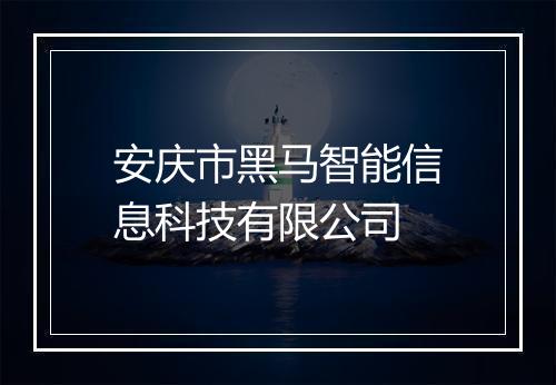 安庆市黑马智能信息科技有限公司