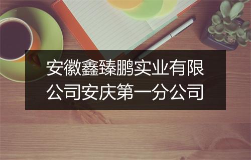 安徽鑫臻鹏实业有限公司安庆第一分公司