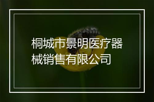 桐城市景明医疗器械销售有限公司