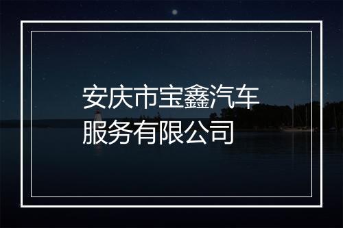 安庆市宝鑫汽车服务有限公司