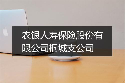 农银人寿保险股份有限公司桐城支公司