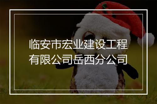 临安市宏业建设工程有限公司岳西分公司