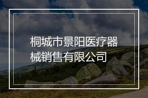 桐城市景阳医疗器械销售有限公司