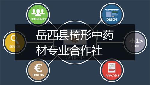 岳西县椅形中药材专业合作社
