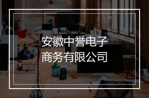 安徽中誉电子商务有限公司