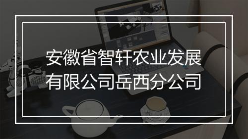 安徽省智轩农业发展有限公司岳西分公司