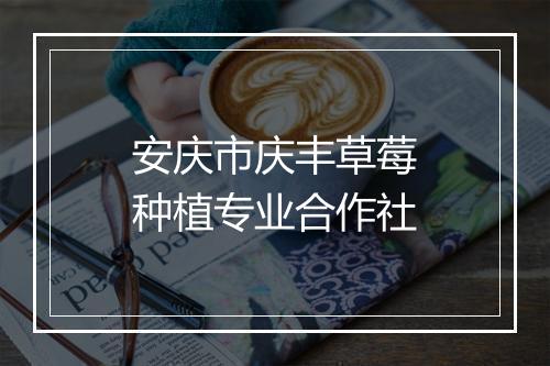 安庆市庆丰草莓种植专业合作社