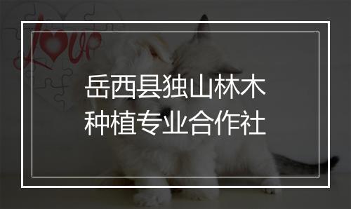 岳西县独山林木种植专业合作社