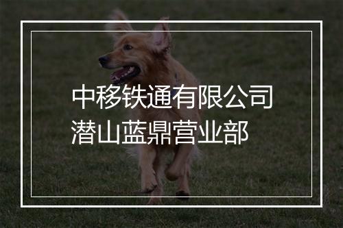 中移铁通有限公司潜山蓝鼎营业部