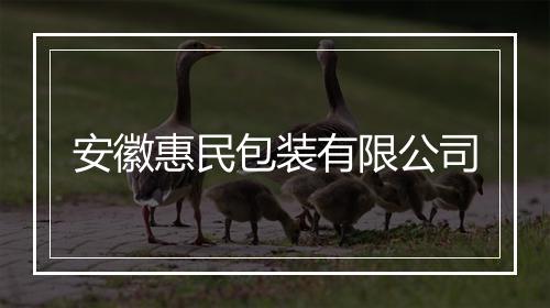 安徽惠民包装有限公司