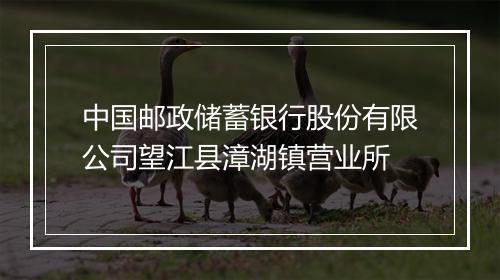 中国邮政储蓄银行股份有限公司望江县漳湖镇营业所
