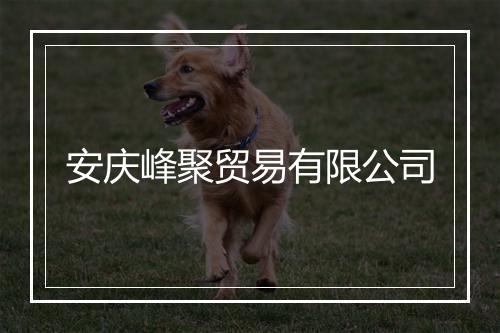 安庆峰聚贸易有限公司
