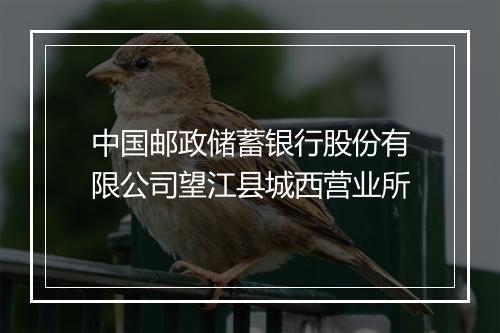 中国邮政储蓄银行股份有限公司望江县城西营业所