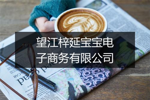 望江梓延宝宝电子商务有限公司