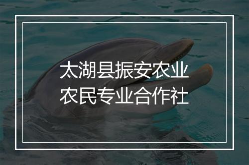 太湖县振安农业农民专业合作社