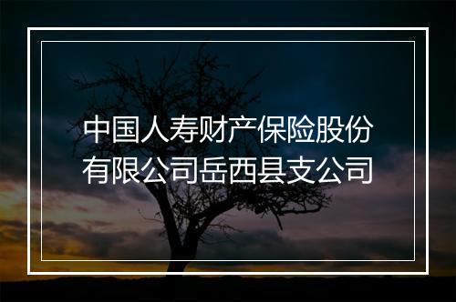 中国人寿财产保险股份有限公司岳西县支公司